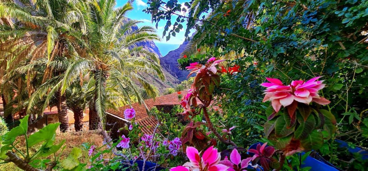 Ocean View Tenerife San Miguel de Abona Exteriér fotografie